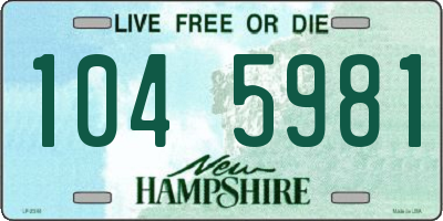 NH license plate 1045981