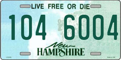 NH license plate 1046004