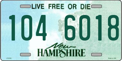 NH license plate 1046018