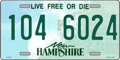 NH license plate 1046024