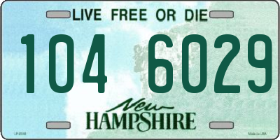 NH license plate 1046029