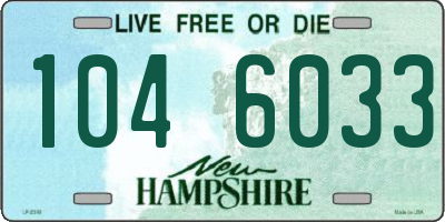 NH license plate 1046033
