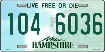 NH license plate 1046036
