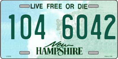 NH license plate 1046042