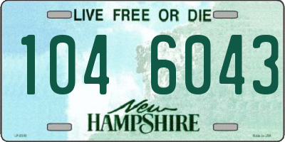 NH license plate 1046043