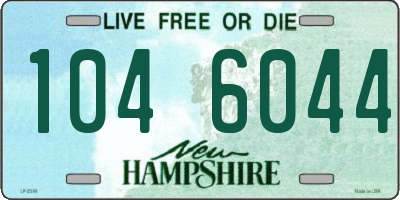 NH license plate 1046044