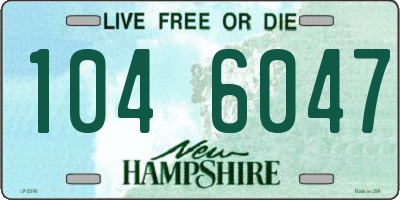 NH license plate 1046047