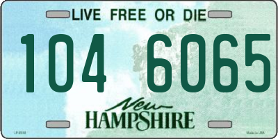 NH license plate 1046065