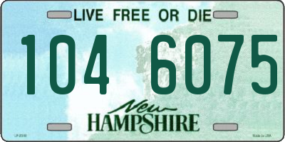 NH license plate 1046075