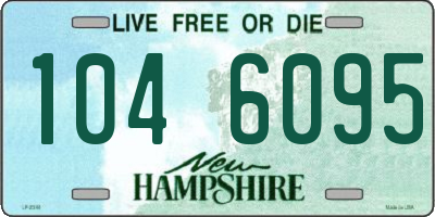 NH license plate 1046095