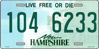 NH license plate 1046233