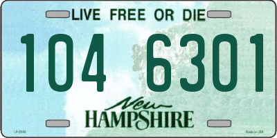 NH license plate 1046301