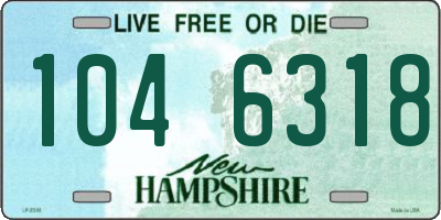 NH license plate 1046318