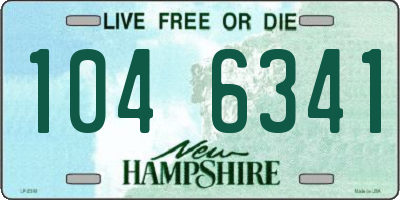 NH license plate 1046341