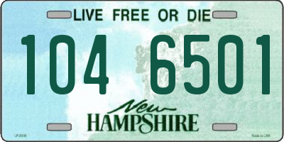 NH license plate 1046501