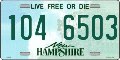 NH license plate 1046503