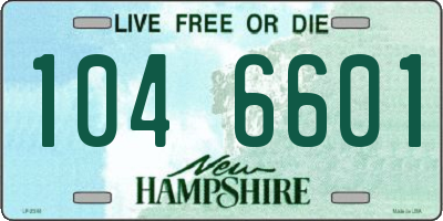 NH license plate 1046601
