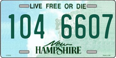NH license plate 1046607