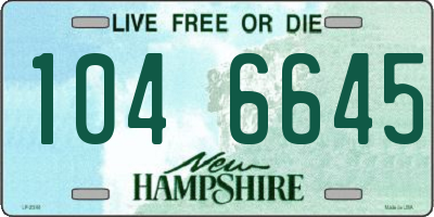 NH license plate 1046645