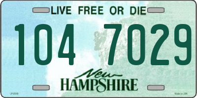 NH license plate 1047029