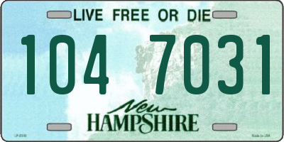 NH license plate 1047031