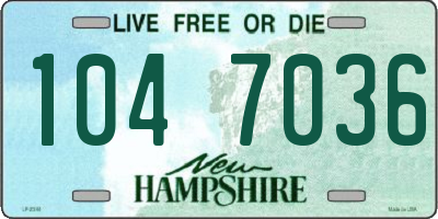 NH license plate 1047036