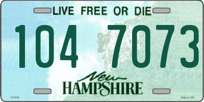 NH license plate 1047073