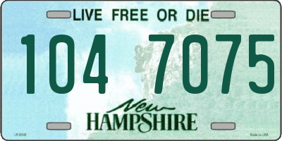 NH license plate 1047075