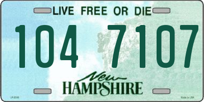 NH license plate 1047107