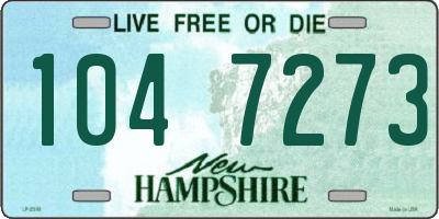NH license plate 1047273