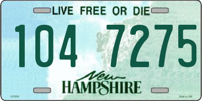 NH license plate 1047275