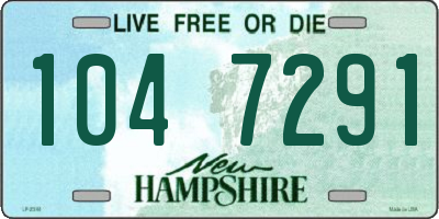 NH license plate 1047291