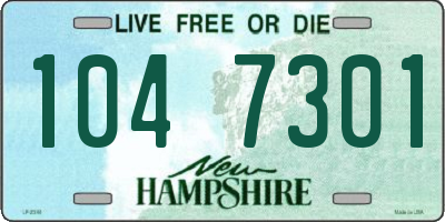 NH license plate 1047301
