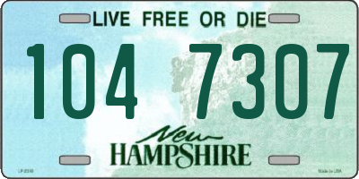 NH license plate 1047307