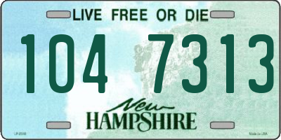 NH license plate 1047313