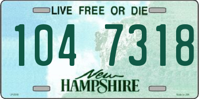 NH license plate 1047318