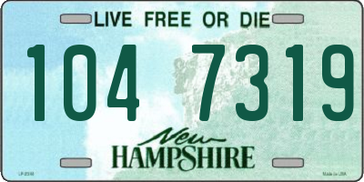 NH license plate 1047319