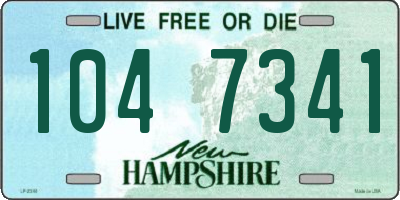 NH license plate 1047341