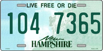 NH license plate 1047365