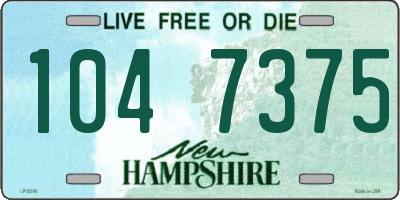 NH license plate 1047375