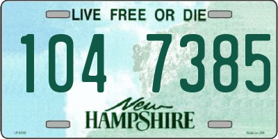 NH license plate 1047385