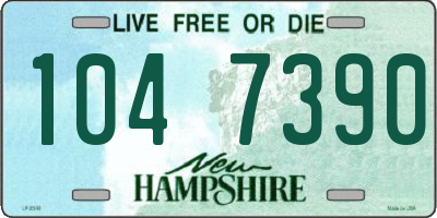 NH license plate 1047390