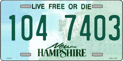 NH license plate 1047403