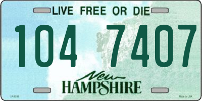 NH license plate 1047407