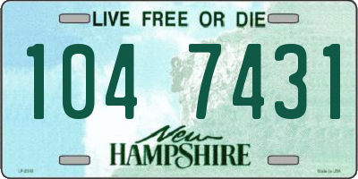 NH license plate 1047431