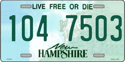 NH license plate 1047503