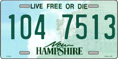 NH license plate 1047513