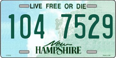 NH license plate 1047529