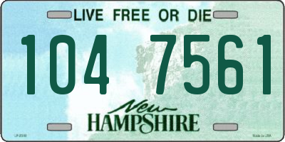 NH license plate 1047561