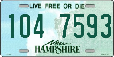 NH license plate 1047593